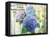 Farm Seed Hydrangeas-Art Licensing Studio-Framed Stretched Canvas