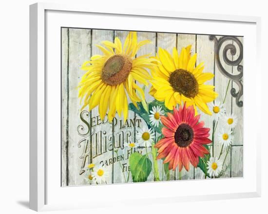 Farm Seed Sunflowers-Art Licensing Studio-Framed Giclee Print