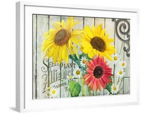 Farm Seed Sunflowers-Art Licensing Studio-Framed Giclee Print