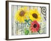 Farm Seed Sunflowers-Art Licensing Studio-Framed Giclee Print