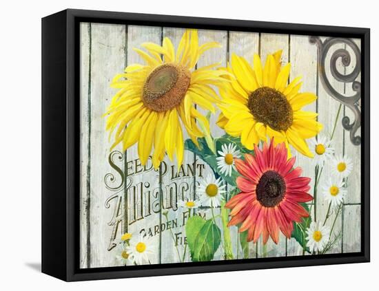 Farm Seed Sunflowers-Art Licensing Studio-Framed Stretched Canvas