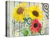 Farm Seed Sunflowers-Art Licensing Studio-Stretched Canvas
