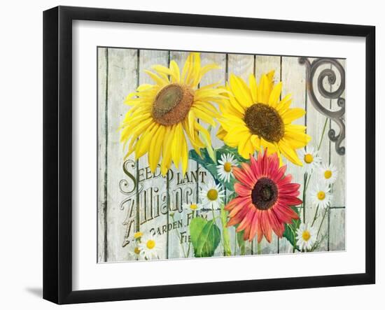 Farm Seed Sunflowers-Art Licensing Studio-Framed Giclee Print