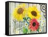 Farm Seed Sunflowers-Art Licensing Studio-Framed Stretched Canvas