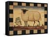 Farm Sheep-Diane Pedersen-Framed Stretched Canvas