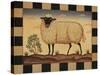 Farm Sheep-Diane Pedersen-Stretched Canvas