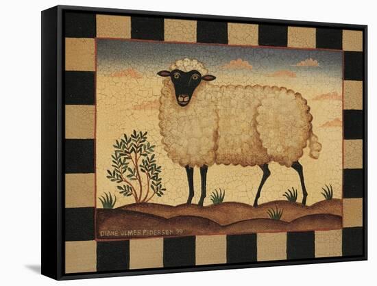 Farm Sheep-Diane Pedersen-Framed Stretched Canvas