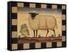 Farm Sheep-Diane Pedersen-Framed Stretched Canvas