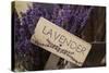 Farm Sign with Dried Lavender for Sale at Lavender Festival, Sequim, Washington, USA-Merrill Images-Stretched Canvas