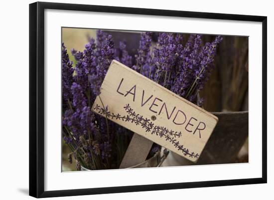 Farm Sign with Dried Lavender for Sale at Lavender Festival, Sequim, Washington, USA-Merrill Images-Framed Photographic Print