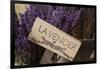 Farm Sign with Dried Lavender for Sale at Lavender Festival, Sequim, Washington, USA-Merrill Images-Framed Photographic Print