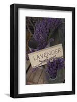 Farm Sign with Dried Lavender for Sale at Lavender Festival, Sequim, Washington, USA-Merrill Images-Framed Photographic Print