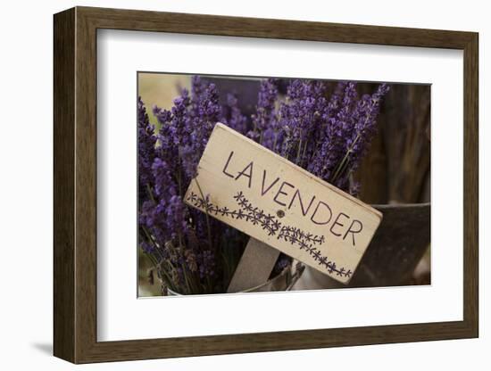 Farm Sign with Dried Lavender for Sale at Lavender Festival, Sequim, Washington, USA-Merrill Images-Framed Photographic Print