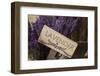 Farm Sign with Dried Lavender for Sale at Lavender Festival, Sequim, Washington, USA-Merrill Images-Framed Photographic Print