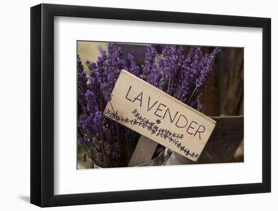 Farm Sign with Dried Lavender for Sale at Lavender Festival, Sequim, Washington, USA-Merrill Images-Framed Photographic Print