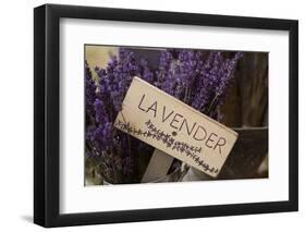 Farm Sign with Dried Lavender for Sale at Lavender Festival, Sequim, Washington, USA-Merrill Images-Framed Photographic Print