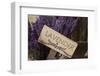 Farm Sign with Dried Lavender for Sale at Lavender Festival, Sequim, Washington, USA-Merrill Images-Framed Photographic Print