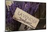 Farm Sign with Dried Lavender for Sale at Lavender Festival, Sequim, Washington, USA-Merrill Images-Mounted Photographic Print