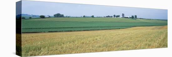 Farm Silos in an Oat Field, Iowa, USA-null-Stretched Canvas