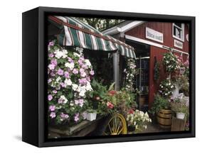 Farm Stand in Red Barn with Flowers, Long Island, New York, USA-Merrill Images-Framed Stretched Canvas