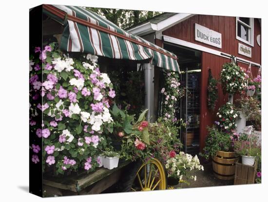 Farm Stand in Red Barn with Flowers, Long Island, New York, USA-Merrill Images-Stretched Canvas