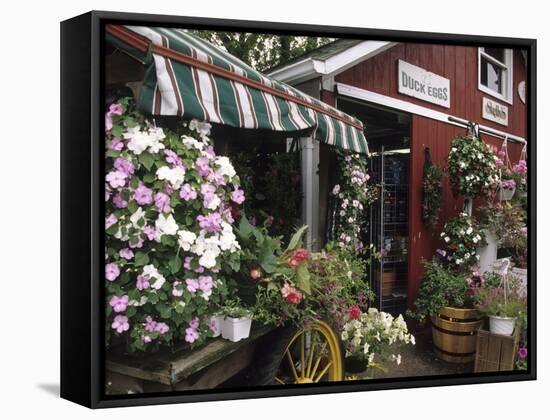 Farm Stand in Red Barn with Flowers, Long Island, New York, USA-Merrill Images-Framed Stretched Canvas