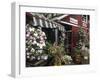 Farm Stand in Red Barn with Flowers, Long Island, New York, USA-Merrill Images-Framed Photographic Print