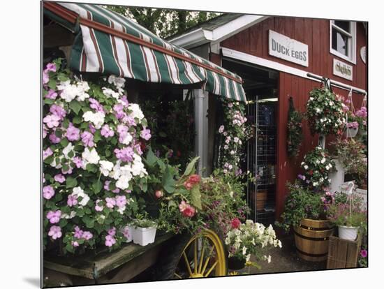 Farm Stand in Red Barn with Flowers, Long Island, New York, USA-Merrill Images-Mounted Photographic Print