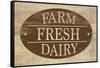 Farm Store II-Alonzo Saunders-Framed Stretched Canvas