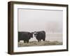 Farm Study I-Adam Mead-Framed Photographic Print