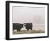 Farm Study I-Adam Mead-Framed Photographic Print