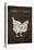 Farm To Table Chicken-Jace Grey-Stretched Canvas