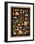 Farm to Table-Sudi Mccollum-Framed Art Print