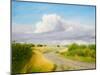 Farm Track Leading to the Pewsey Downs, 2014 (Oil on Canvas)-Peter Breeden-Mounted Giclee Print