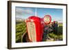 Farm Tractor, Flatey Island, Borgarfjordur, Iceland-null-Framed Photographic Print