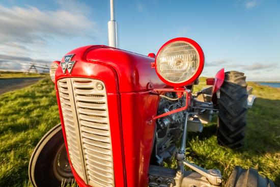 Premium Photographic Print, , large