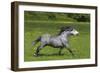 Farm UK 004-Bob Langrish-Framed Photographic Print