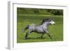 Farm UK 004-Bob Langrish-Framed Photographic Print