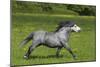 Farm UK 004-Bob Langrish-Mounted Photographic Print