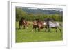 Farm UK 005-Bob Langrish-Framed Photographic Print