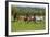 Farm UK 005-Bob Langrish-Framed Photographic Print