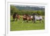 Farm UK 005-Bob Langrish-Framed Photographic Print