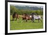 Farm UK 005-Bob Langrish-Framed Photographic Print