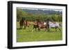 Farm UK 005-Bob Langrish-Framed Photographic Print