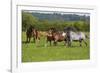 Farm UK 005-Bob Langrish-Framed Photographic Print