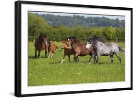 Farm UK 005-Bob Langrish-Framed Photographic Print