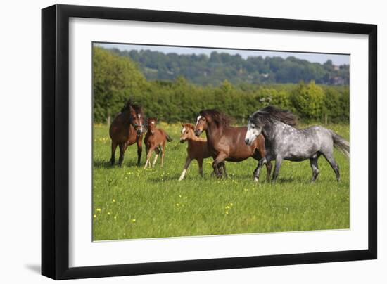 Farm UK 005-Bob Langrish-Framed Premium Photographic Print