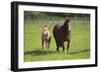 Farm UK 007-Bob Langrish-Framed Photographic Print