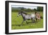 Farm UK 008-Bob Langrish-Framed Photographic Print