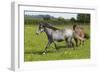 Farm UK 008-Bob Langrish-Framed Photographic Print